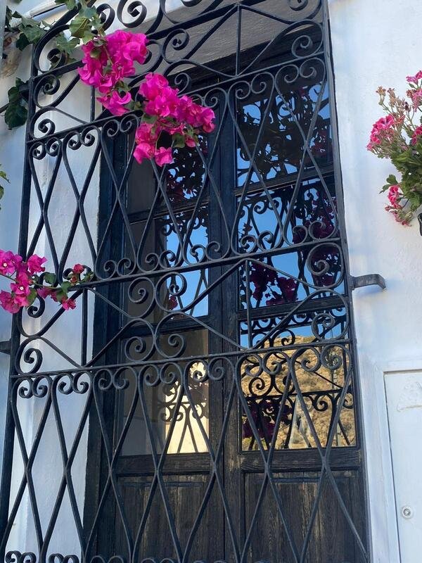 Ventana con una planta